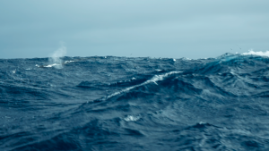 d255286217426982eb90614de713adf0.png