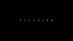 1c581d6bd29a23a19b3a691dfe6ee145.png