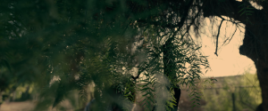 2f2f4217eb815f7f3ab4774d9e9a1852.png