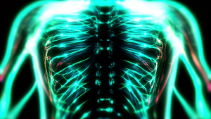 b9ffa63bed131658704bf071c5e5766e.png