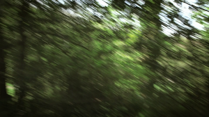 308f53177298928e1048fe90f2a518a1.png