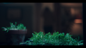49adfe817c176857a0dcbefed091dec9.png