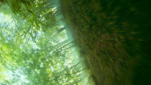 5c0e365a5b63c8632500ae8285e51e2c.png
