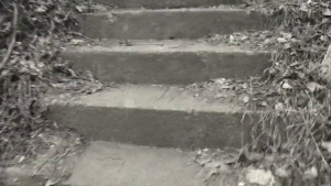 8ae2bdb4e5bad5150b4c9f85ba53ae3d.png