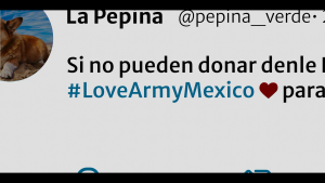228275dba9a9dbf3ec5e5c3dade408da.png
