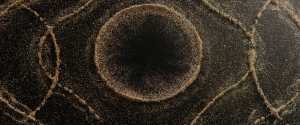 7c4be88276ac5ab61898c7ff26671533.png