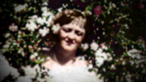 076d8412a277a3634a9595e7d4cf14a9.png