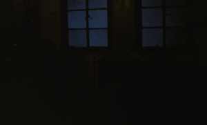 8dc0a0f1c8522dc25677d9fd2ece620a.png