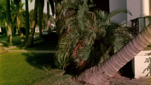 b4c9333f61c5997939edee94debb8ce9.png
