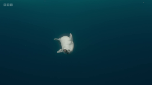 97f196c10ba708bb8f566b134858ba9d.png