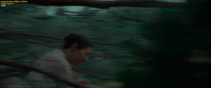 8837ec11830dab6f4a26d2336d6168ef.png