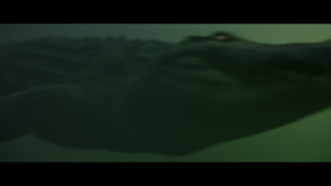 e5f3c5e5060d1ffcc5f26c7dd9d24152.png