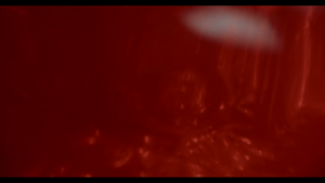 895cabd18a993f235fafb3bba9e5063d.png