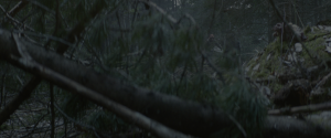717c81deaf2844ed0a3038926a6a775d.png