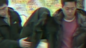 bae700370f345b0691f73c3e529184dd.png