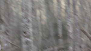 808c0dfd1994f2ffdc0c1fc362b9a27a.png