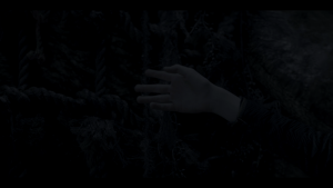 a8d2bab7d194284fffe35bb209e54125.png