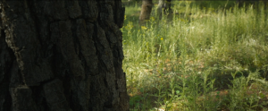 1d1281710e161a7f9ee11a43a5413842.png