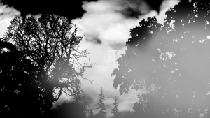 26957283c0fa31508b24b3ff27eaca61.png