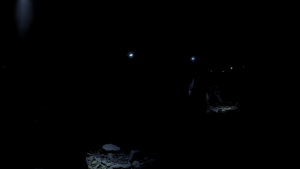 811e5bf15f7fa499ad55baf466b74f6c.png