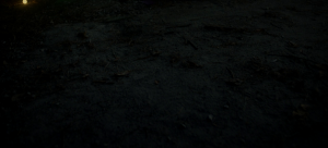 d79d0fb20fae91838627cf834ca4e711.png