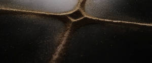 189701650f344926ebed158e3d373a19.png