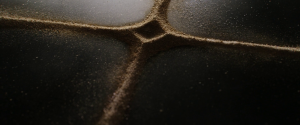 7031705068cc86ea4edab7304dc8cdc6.png