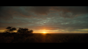 930016f54b02ee84d99d2e5ed63e4793.png