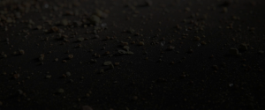 acc5e347d7cf9285775b784401a1f2ca.png