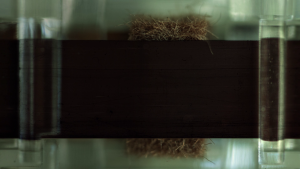 d16866813c5569e522ab182123c396e4.png