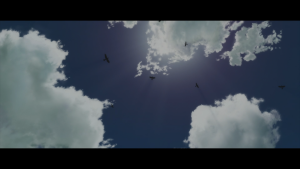 0a2d796b7223b1d058503af44ed8ba4a.png