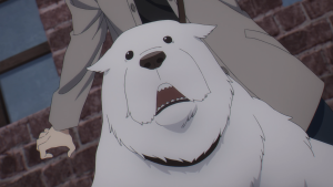 2cd00f591e9d70ecca76fa21e91abd6d.png