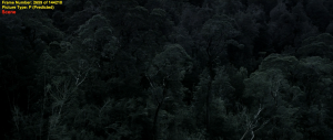 2e97a6c840a32a4d6b6c3af0e31fdb56.png