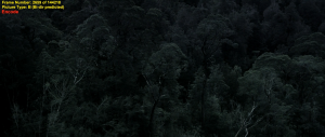 c6e0d246c9570212d09456e4c0643c95.png