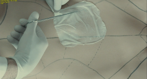 cf8a025a835ed3462971ab29aaa11d79.png