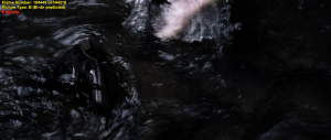 de567a57f8ba6404a122185754dfd248.png