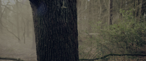 036eb4b9d1d2310294ad1a2e15360c40.png