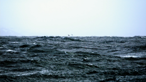 077a2f28d24fb9a979133fc218403b6b.png