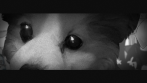 338d916c6114a2b17d2c51933bbd4477.png