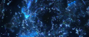 c6f1e8b703edc10673d6b8ed0bee1b3e.png