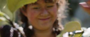 75e0e1b26e4a4417f5c2672625339f09.png