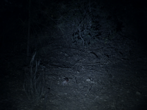 b27ead9a03737dbf809c85180857b39c.png