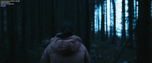 c287b7f3e63eafe4641c88413a21444e.png