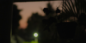 7aba5f549c9487ddb48f1cd9585a05d1.png