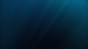 a00071b1f7e0920c2c3ec652aac53743.png
