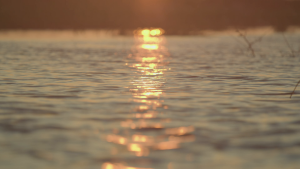 14185a24118d313ae9e8e77a4e8fa923.png