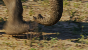 7c182b2f103e05bdaf75b2a5515f3656.png
