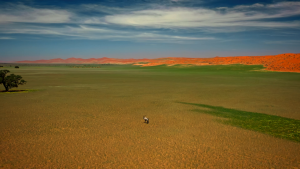 828eef0f5e6c5df84ed38b382d898eaa.png