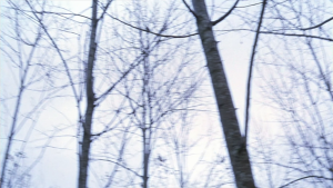9fe3cad54efa89a7466f693dea87fac9.png