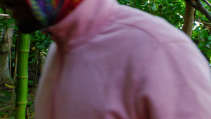 8fbf8829ceeac84cdec856ca80030186.png